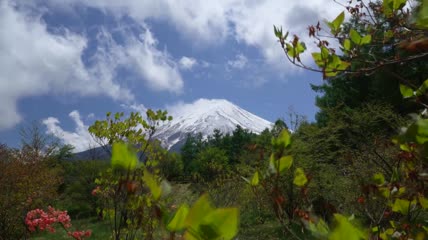 富士山下看新雪