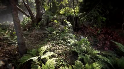 3D魔幻森林背景视频