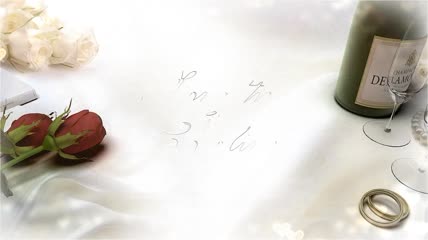 白色风格婚礼相册模板