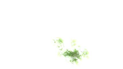 我的爱婚礼片头模板